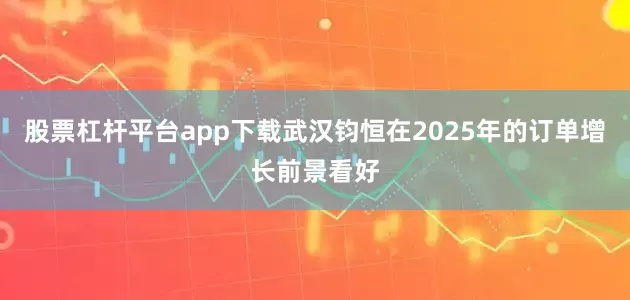 股票杠杆平台app下载武汉钧恒在2025年的订单增长前景看好